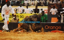 (Vidéo) Lutte Baboye - Balla Gaye 2: le lion de Guédiawaye dompte le "mbarodi"