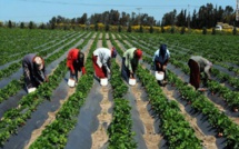 Scandale au Prodac : une entreprise israélienne empoche 12,7 milliards sans justificatifs