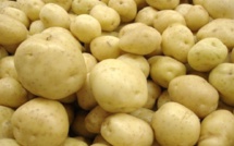 Pomme de terre pour la Korité: le ministre du Commerce rassure les Sénégalais