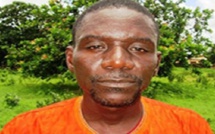 Coupe de bois sans autorisation: Le maire de Oulampane libéré