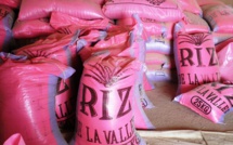 Riz local : les producteurs de la Vallée annoncent une nouvelle hausse du prix du Kg