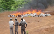 Popenguine : 6,4 tonnes de chanvre indien incinérées
