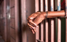 ​Diourbel : La Chambre criminelle prononce la perpétuité pour six individus