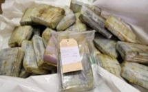 ​Diourbel : 10Kg de chanvre indien, deux individus arrêtés