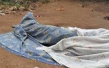 Yeumbeul Sud: Un homme non identifié  se jette sous un train