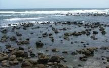 Cambéréne va traduire en justice l’Etat du Sénégal pour agression environnementale