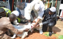 ​Tabaski  2018 : l'Aïd el-Kebir célébrée dans la division