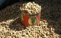 Le parti de Robert Sagna dénonce une logique de destruction de la filière arachidière