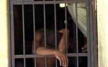 7300 détenus sont dans les prisons sénégalaises selon Cheikh Tidiane Sy