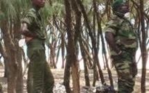 Attaque à main armée dans la région de Sédhiou