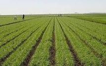 Le secteur de l’agriculture analysé par les cadres de la LD