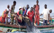 Grève illimitée des pêcheurs de Joal-Fadiouth : Le ministère de la Pêche réagit
