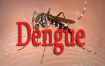 Propagation de la Dengue : le nombre de cas passe à 29, deux autres communes de Fatick touchées