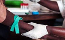 ​Dengue à Touba : 54 cas confirmés et plus de 200 agents des services d’hygiène déployés