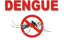 Épidémie de Dengue : tous les malades déclarés sont guéris (Ministère)
