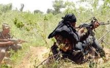 Rébellion en Casamance : 4 rebelles et 3 enseignants complices arrêtés