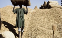 Campagne de commercialisation de l’arachide 2018: le prix du kilogramme fixé ce vendredi