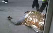 ​Argentine : Un Sénégalais  mortellement poignardé