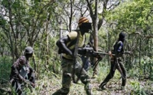 Les 4 personnes disparues dans la forêt de Casamance sont bien vivantes
