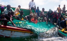 ​Paralysie du secteur de la pêche : les travailleurs entre en guerre contre les autorités 