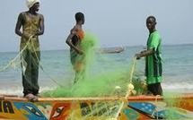 Pêche-Mauritanie: 351 pirogues immobilisées à Nouadibou, les acteurs sollicitent l’intervention des autoritées