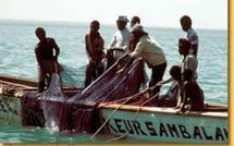 Saint-Louis : 12 pêcheurs portés disparus