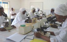 Retard noté dans l’organisation des examens de certification : les étudiants de l'ENDSS en grève