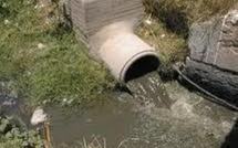 Alerte : 300.000 dakarois en danger de mort à cause du canal de collecte des eaux usées