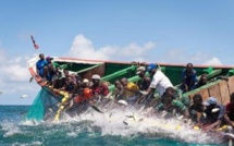 Drame d'Eloubalile: la Société civile indignée par le mutisme du Président Macky Sall et du Gouvernement