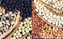 Agriculture : Wade annonce une Société nationale de commercialisation des produits agricoles