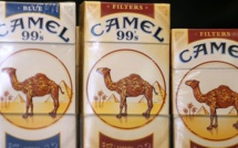 Journée mondiale du tabac : entre mythes et réalités