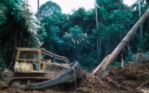 Gabon: François Wu s’exprime sur l’affaire du bois précieux kevazingo