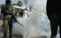 Affrontements entre socialistes et libéraux à Tambacounda : Les nervis se disent victimes de manipulation