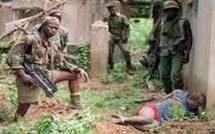 Casamance : Après le massacre d’une dizaine de villageois, les bandes armées poursuivent leur offensive