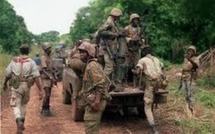 Casamance : Braquage suivi d’une vive fusillade entre l’armée et une bande ce jeudi