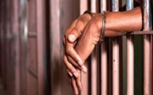 Activités judiciaires 2017-2018: plus de 21.360 procès-verbaux, 4.754 pour délits, 657 mineurs condamnés