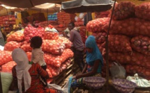 Tabaski 2019: « il n’y aura ni hausse ni pénurie d’oignon », assure le ministre de l'Agriculture rassure