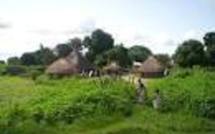 Casamance : Les 05 militaires enlevés à Kabeum en vie entre les mains du MFDC