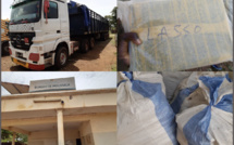 Région de Tamba: La Douane saisit près de 600 Kg de chanvre indien en une semaine