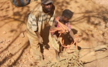 Trafic d’être humain à Kédougou: une dizaine de femmes de nationalité nigériane arrêtée