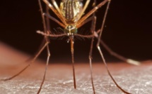 Au Burundi, une personne sur deux souffre du paludisme