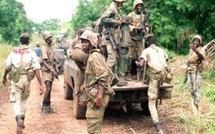 SOS Casamance : "Me Abdoulaye Wade finance l'armement du MFDC"