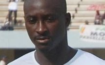 VIDEO Direct CAN 2012 Sénégal - Zambie: Ndoye réduit le score (1-2)