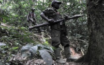 RDC: nombreuses interrogations autour de la mort du chef des FDLR