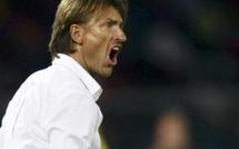 CAN 2012 Zambie - Hervé Renard : " On va en finale pour gagner "
