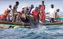Pêcheurs sénégalais arrêtés en Guinée-Bissau: le Syndicat national fustige fustige l'attitude de l'Etat