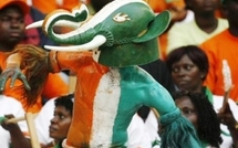VIDEOS CAN 2012 - Côte d'ivoire: l'Eléphant nommé "CAN": les ivoiriens fêtent déjà la victoire