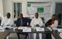 Le Forum social sénégalais et Afrika Jom Center demandent à Condé de surseoir à son projet de 3e mandat