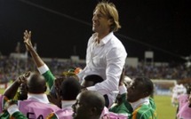 CAN 2012 - Zambie - Renard, succès ascensionnel ?