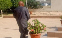 ​Affaire Petro-Tim : Djibril Kanouté brandit un document sur les opérations pétrolières et garde le silence